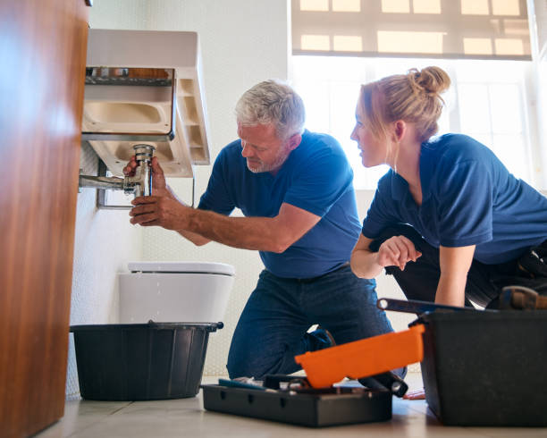 Best Local Plumber Services  in Lovington, NM
